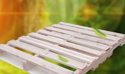 ��Щ���|(zh��)���бP����Ѭ����